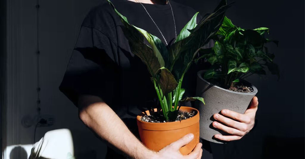 How to stay active besides exercising: 3 medical experts advise How to stay active besides exercising: 3 medical experts advise