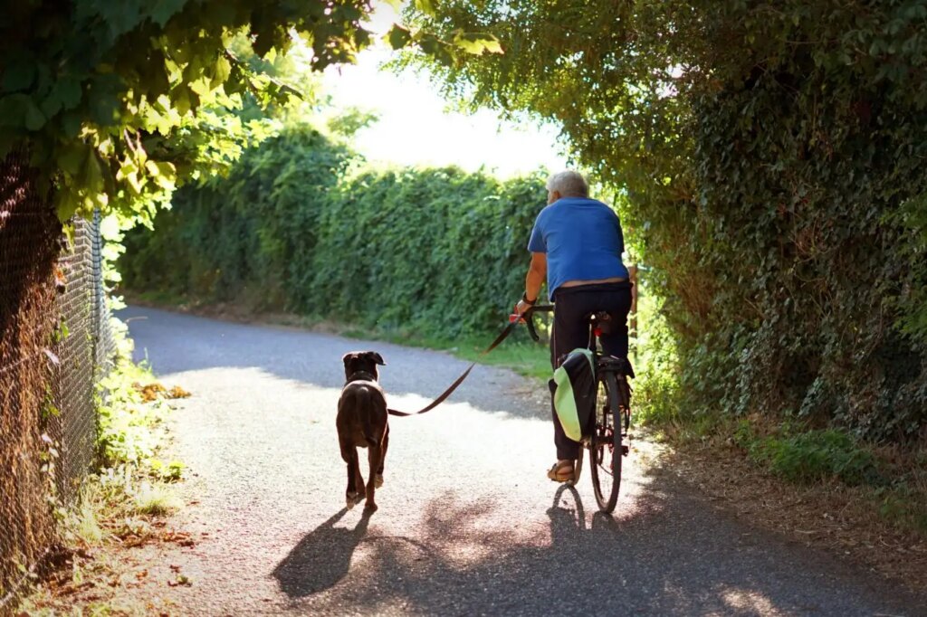 Incorporating cross training into your exercise routine is the way to go.