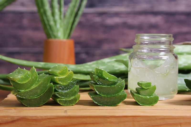 Find out the natural daily health benefits of Aloe Vera Juice from Elder Mart Find out the natural daily health benefits of Aloe Vera Juice from Elder Mart
