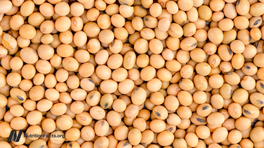 Does low protein increase FGF21 for longevity?
