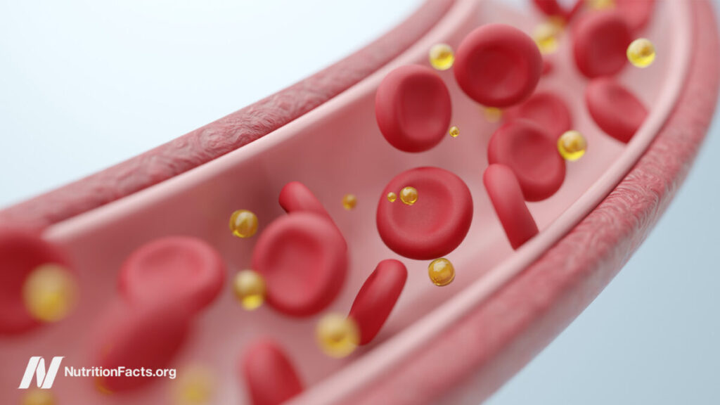 How one meal can damage your arteries and lungs