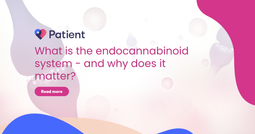 What is the endocannabinoid system